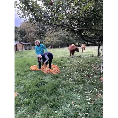 Am Beulskopf Hemmelzen