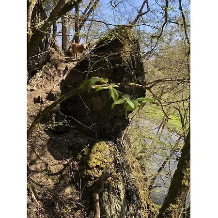 Am Beulskopf * Hemmelzen