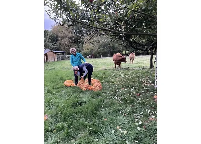 Am Beulskopf Hemmelzen