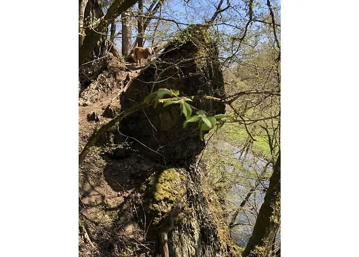 Am Beulskopf * Hemmelzen